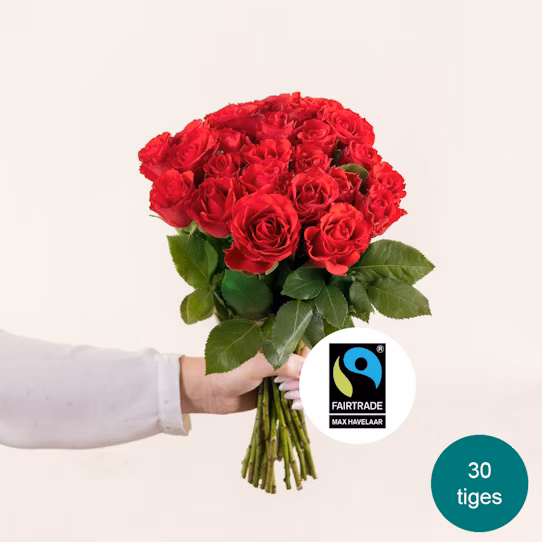 Bouquet de roses
